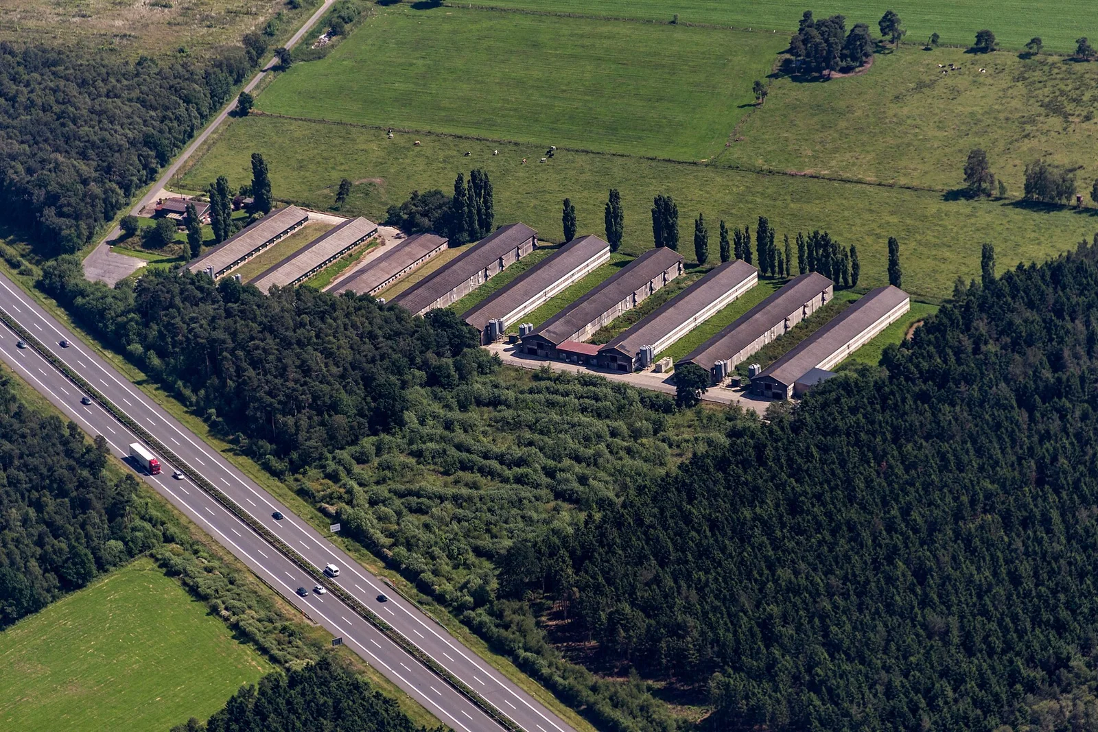 Geflügelhof mit Stallgebäuden und Außenbereich